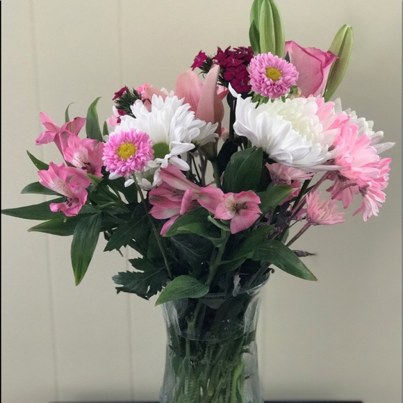 Meet your Posher, Alison - Picture 1 of 1